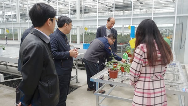 山东农业大学教授魏珉和李清明一行参观考察AgriPheno平台