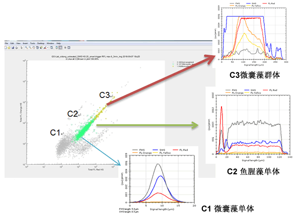 CytoSense藻类在线系统120h高频次无故障运行实验效果图.gif