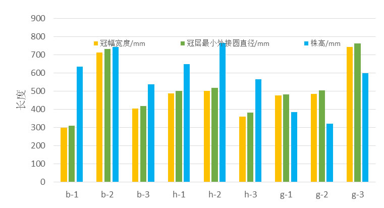 图4190614.jpg