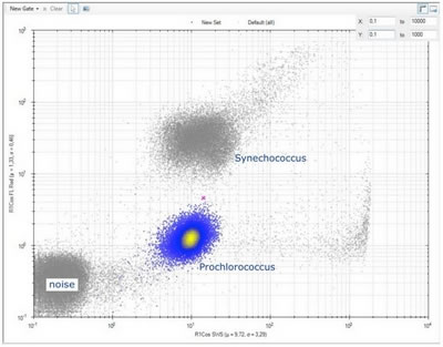 CytoSense5200420.jpg