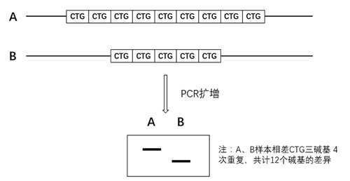 图523032201.jpg