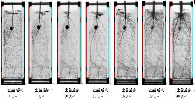 应用案例一.JPG